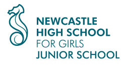Newcastle HIGH School